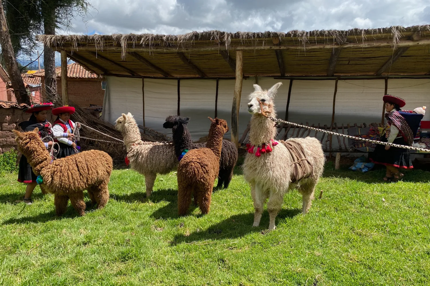 Experiential Tourism in the Umasbamba Community