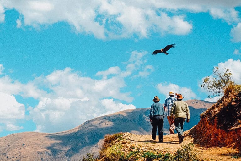 Chonta Condors Viewpoint Full Day