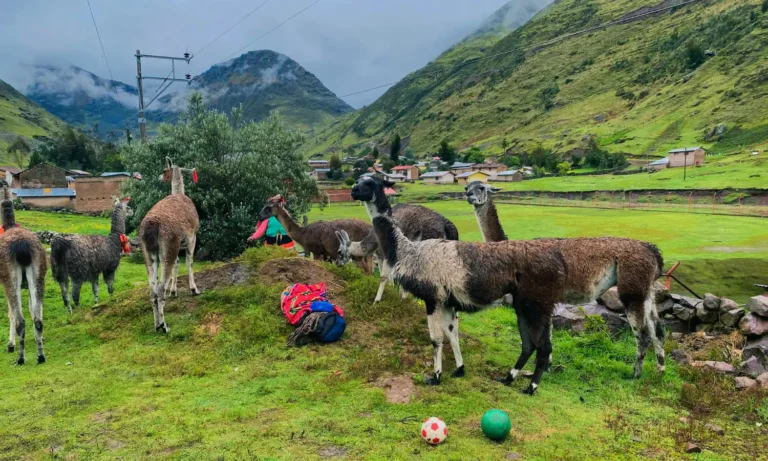 Lares Machupicchu Trek 4 Days