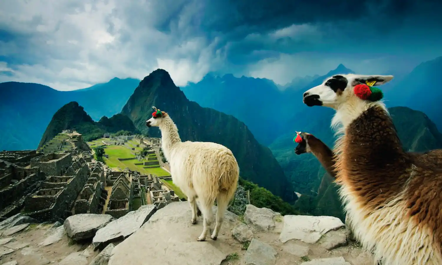 machupicchu travel tour